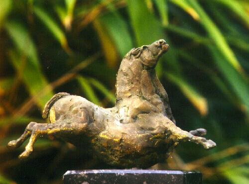 de sprong (paard)