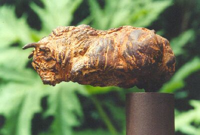 Stier (brons)